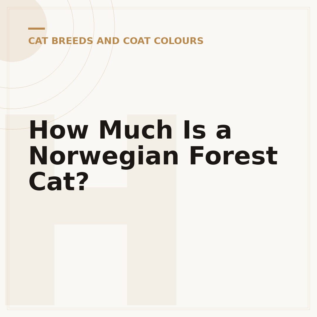 How Much Is a Norwegian Forest Cat?