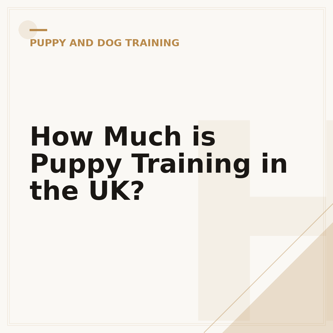 How Much is Puppy Training in the UK?
