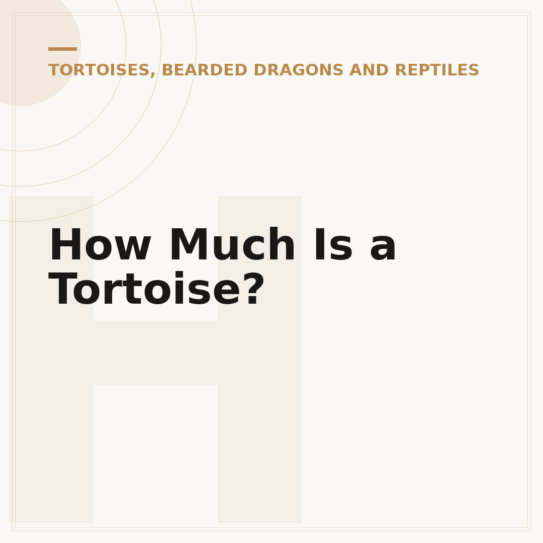 How Much Is a Tortoise?
