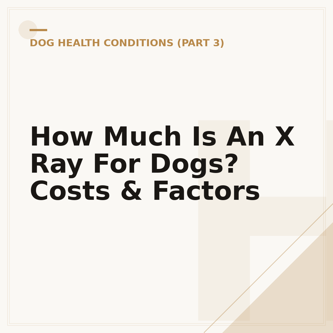 How Much Is An X Ray For Dogs? Costs & Factors