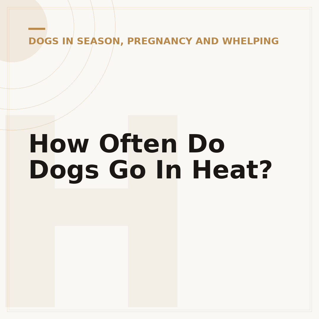 How Often Do Dogs Go In Heat?