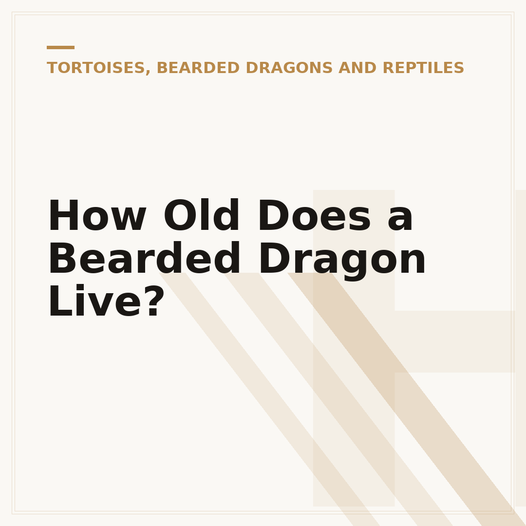 How Old Does a Bearded Dragon Live?