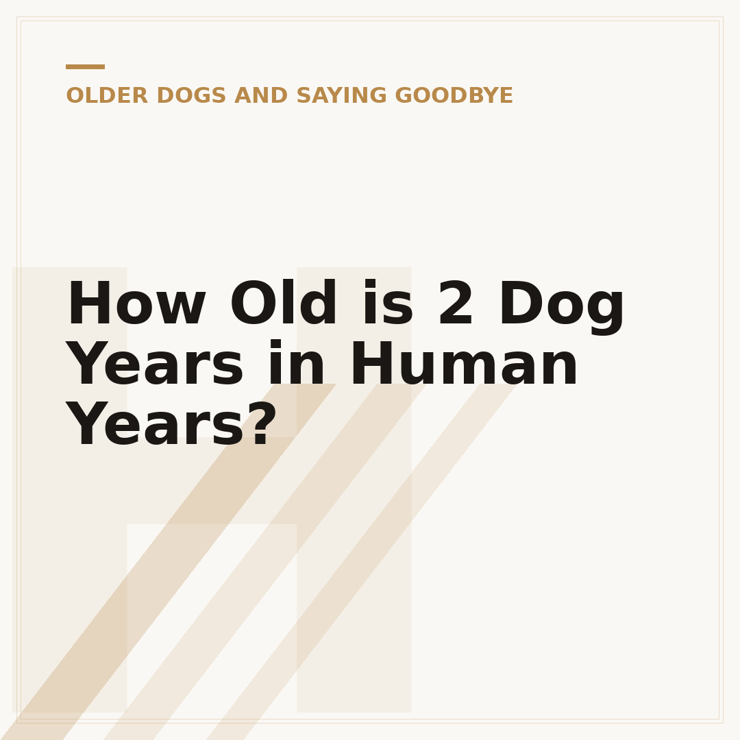 How Old is 2 Dog Years in Human Years?