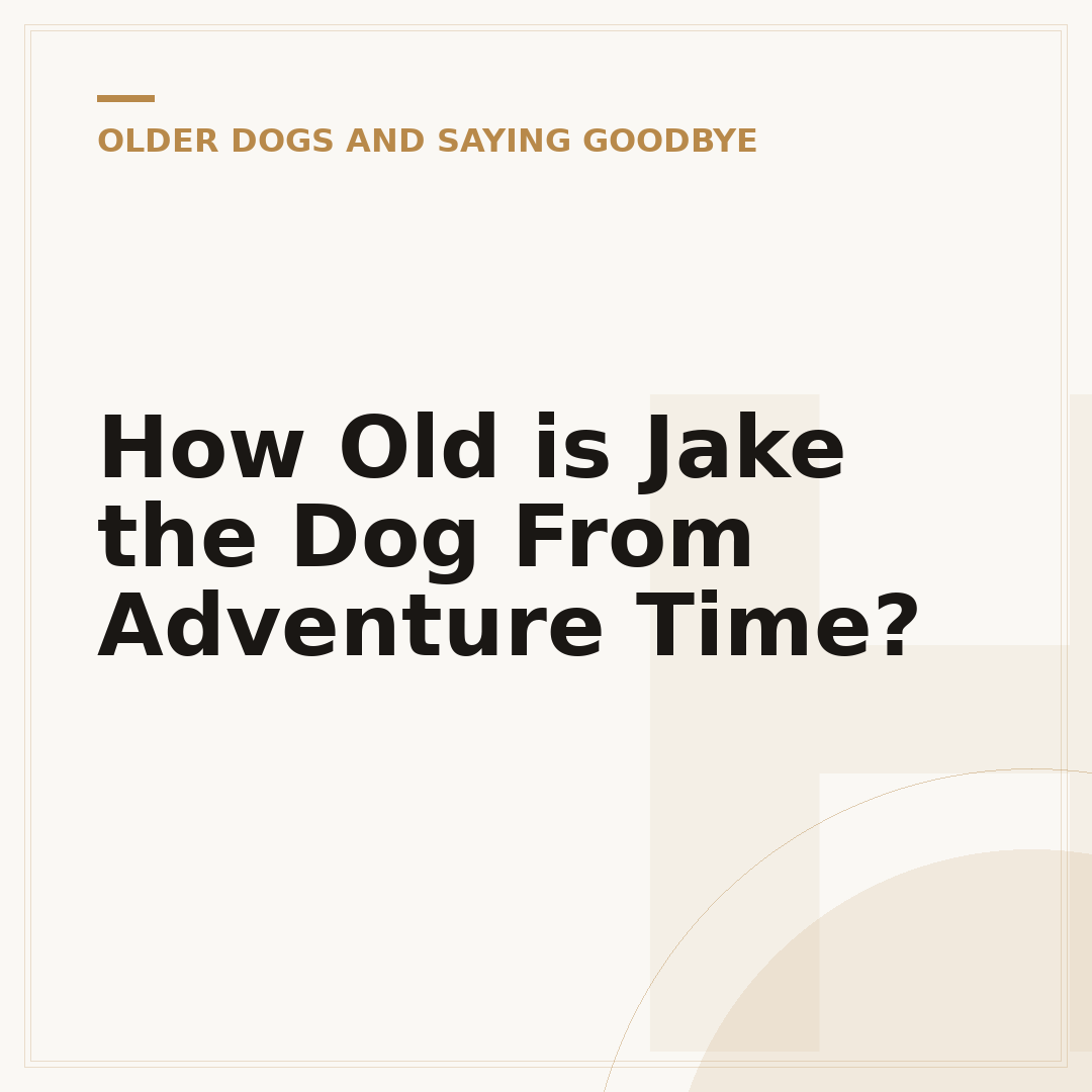 How Old is Jake the Dog From Adventure Time?
