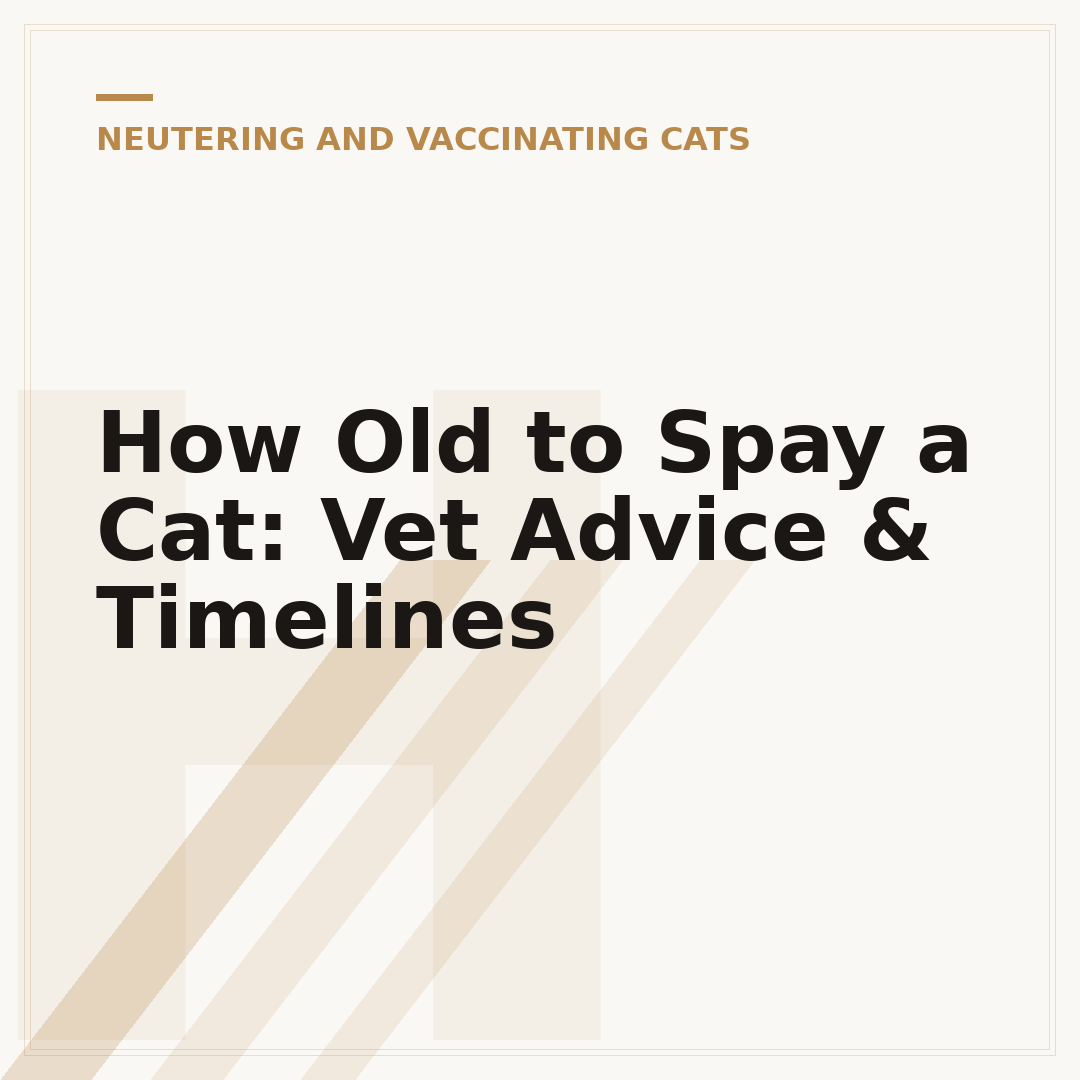 How Old to Spay a Cat: Vet Advice & Timelines