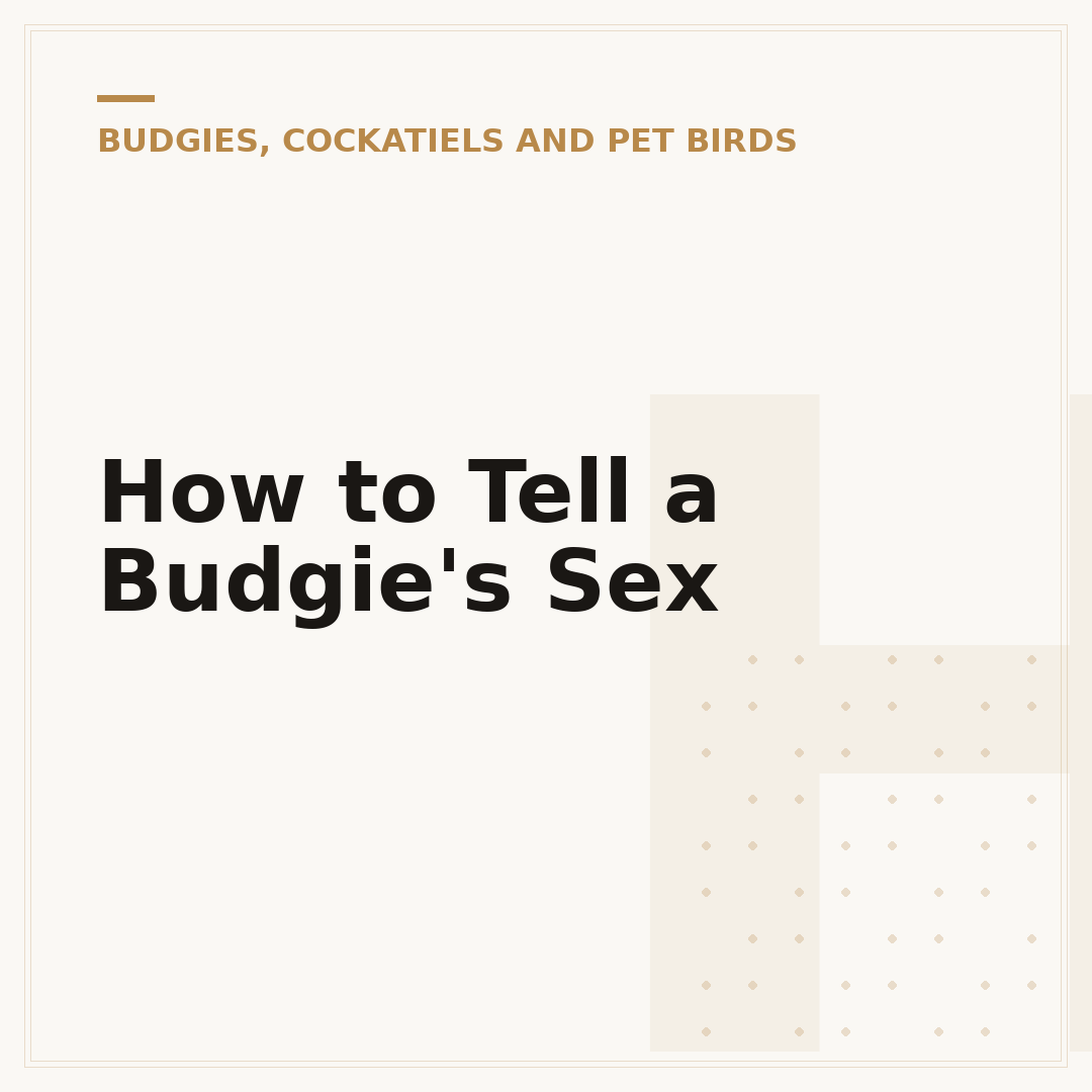 How to Tell a Budgie's Sex