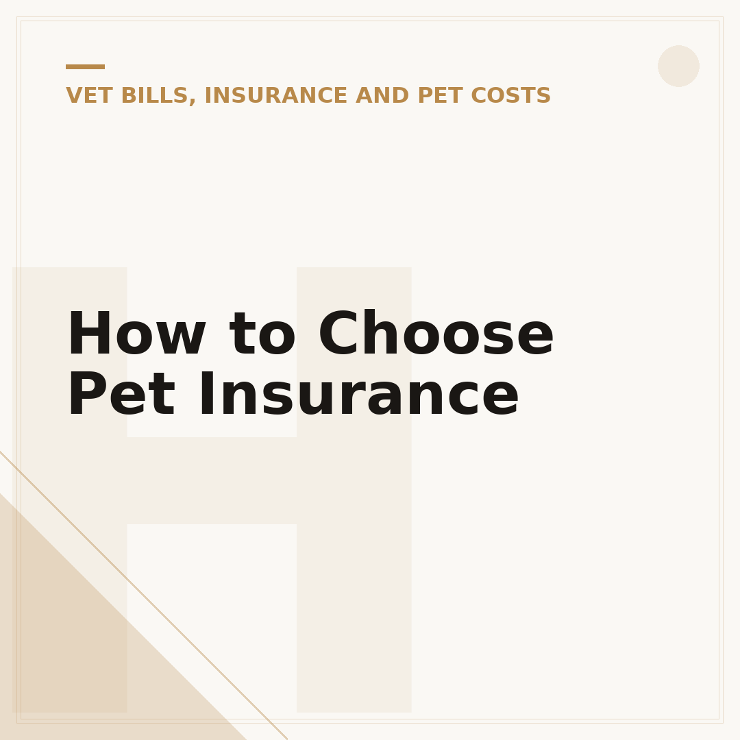 How to Choose Pet Insurance