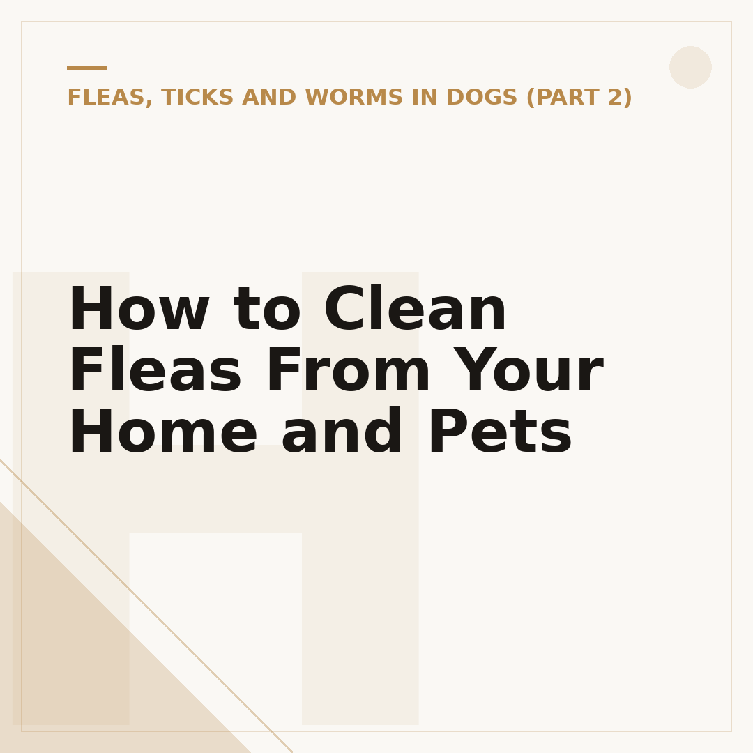 How to Clean Fleas From Your Home and Pets