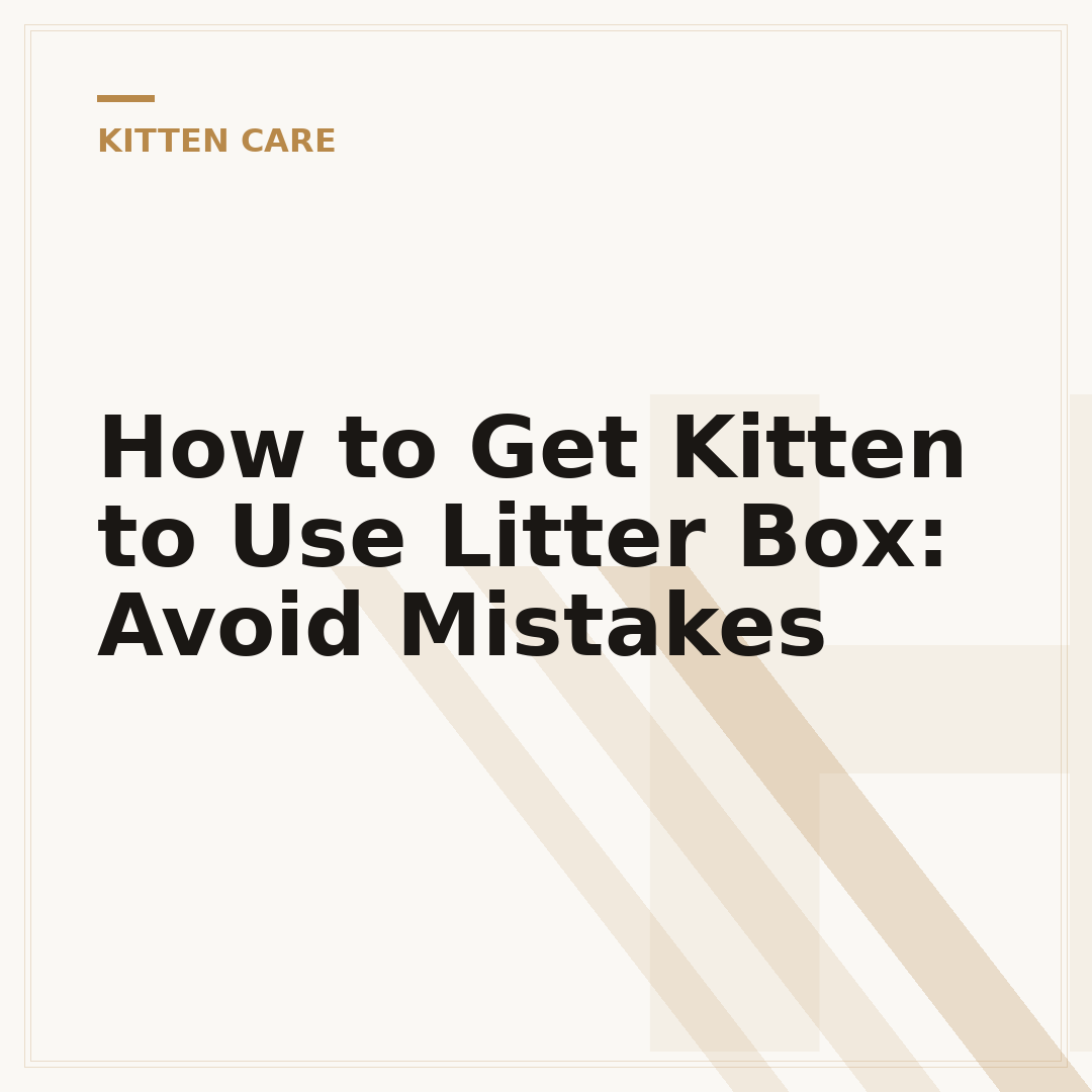 How to Get Kitten to Use Litter Box: Avoid Mistakes