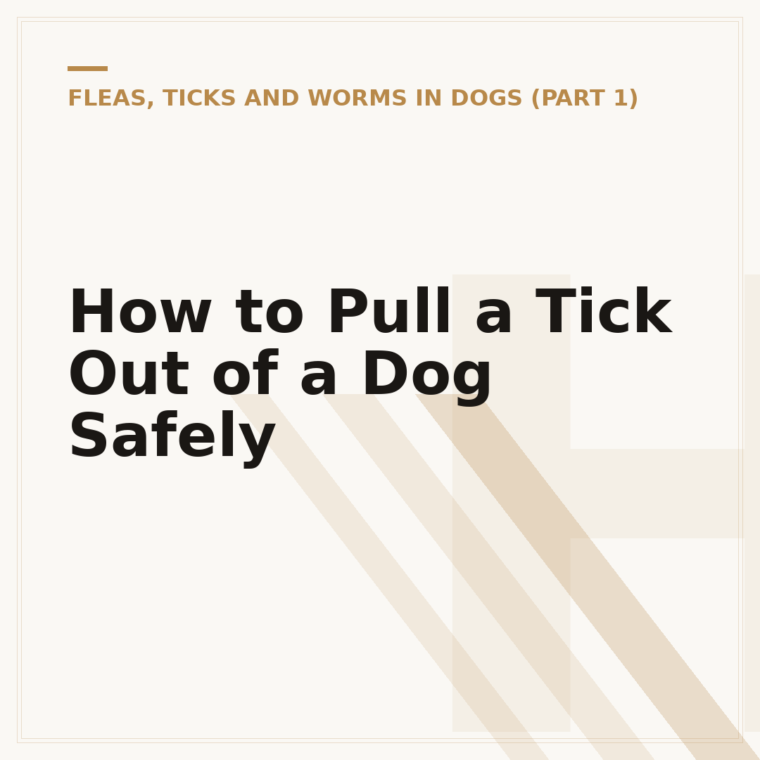 How to Pull a Tick Out of a Dog Safely