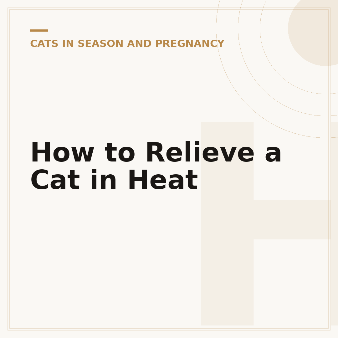 How to Relieve a Cat in Heat