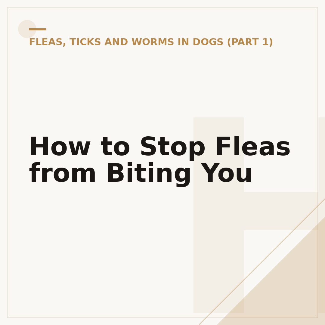 How to Stop Fleas from Biting You