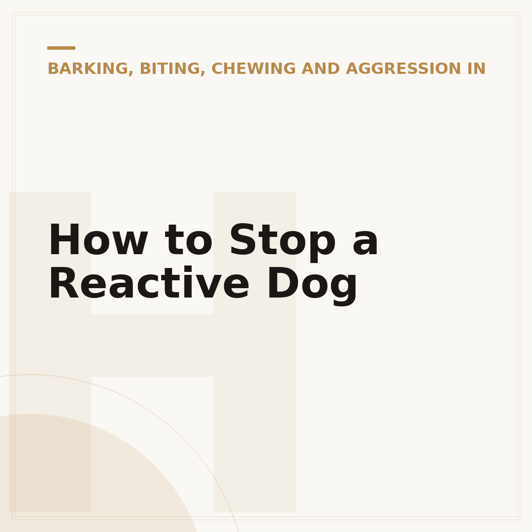 How to Stop a Reactive Dog
