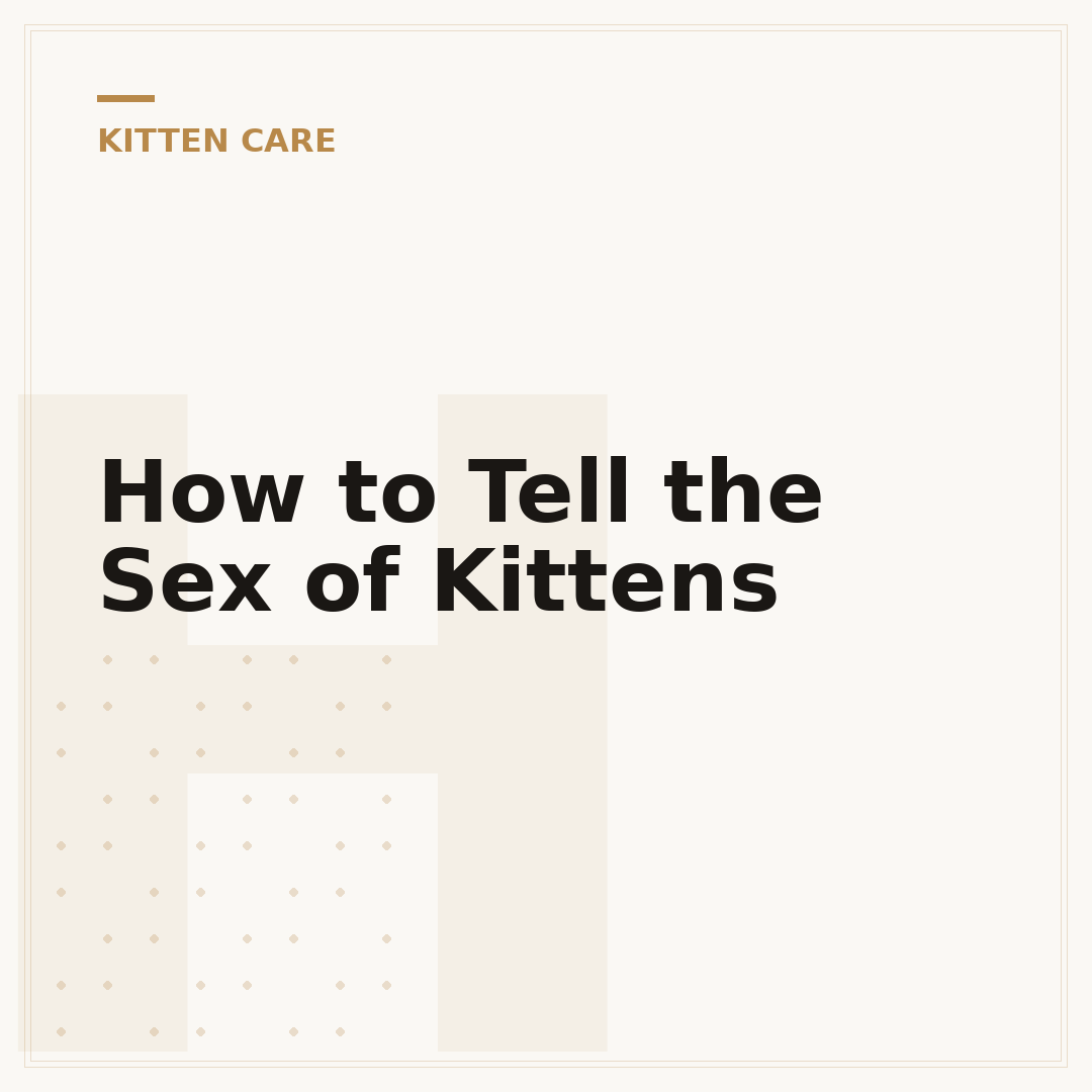 How to Tell the Sex of Kittens