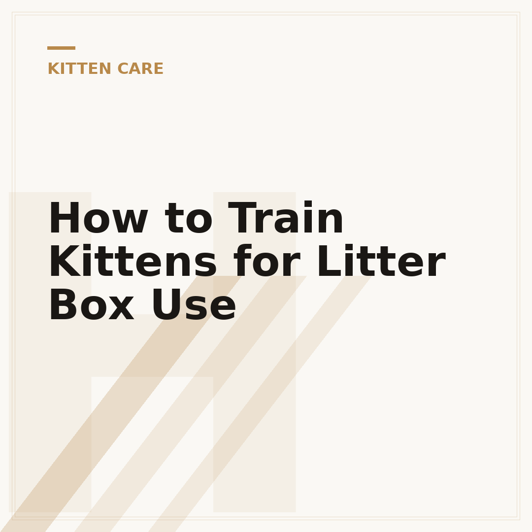 How to Train Kittens for Litter Box Use