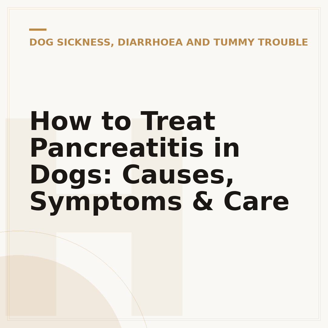 How to Treat Pancreatitis in Dogs: Causes, Symptoms & Care