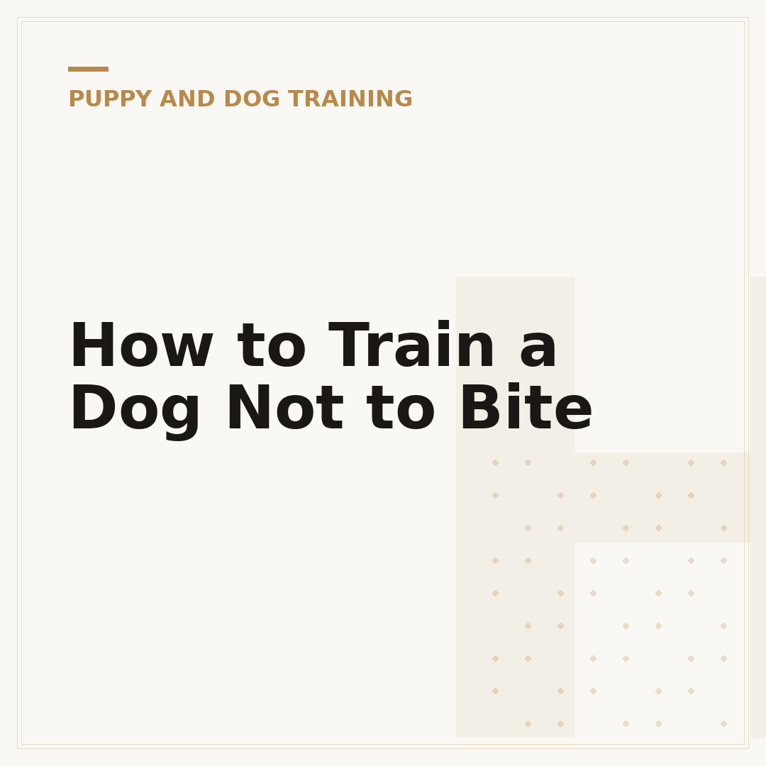 How to Train a Dog Not to Bite