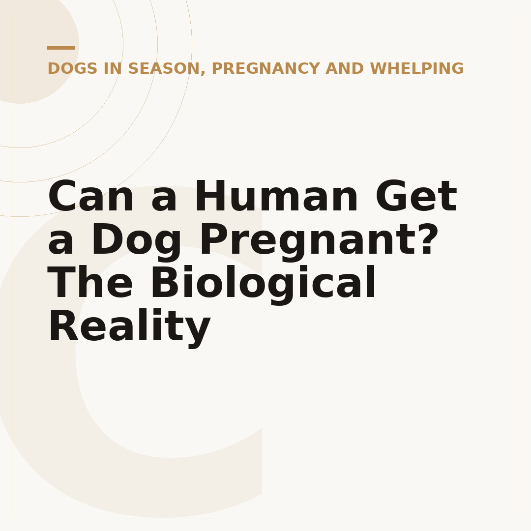 Can a Human Get a Dog Pregnant? The Biological Reality