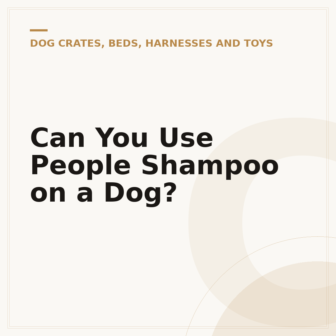 Can You Use People Shampoo on a Dog?