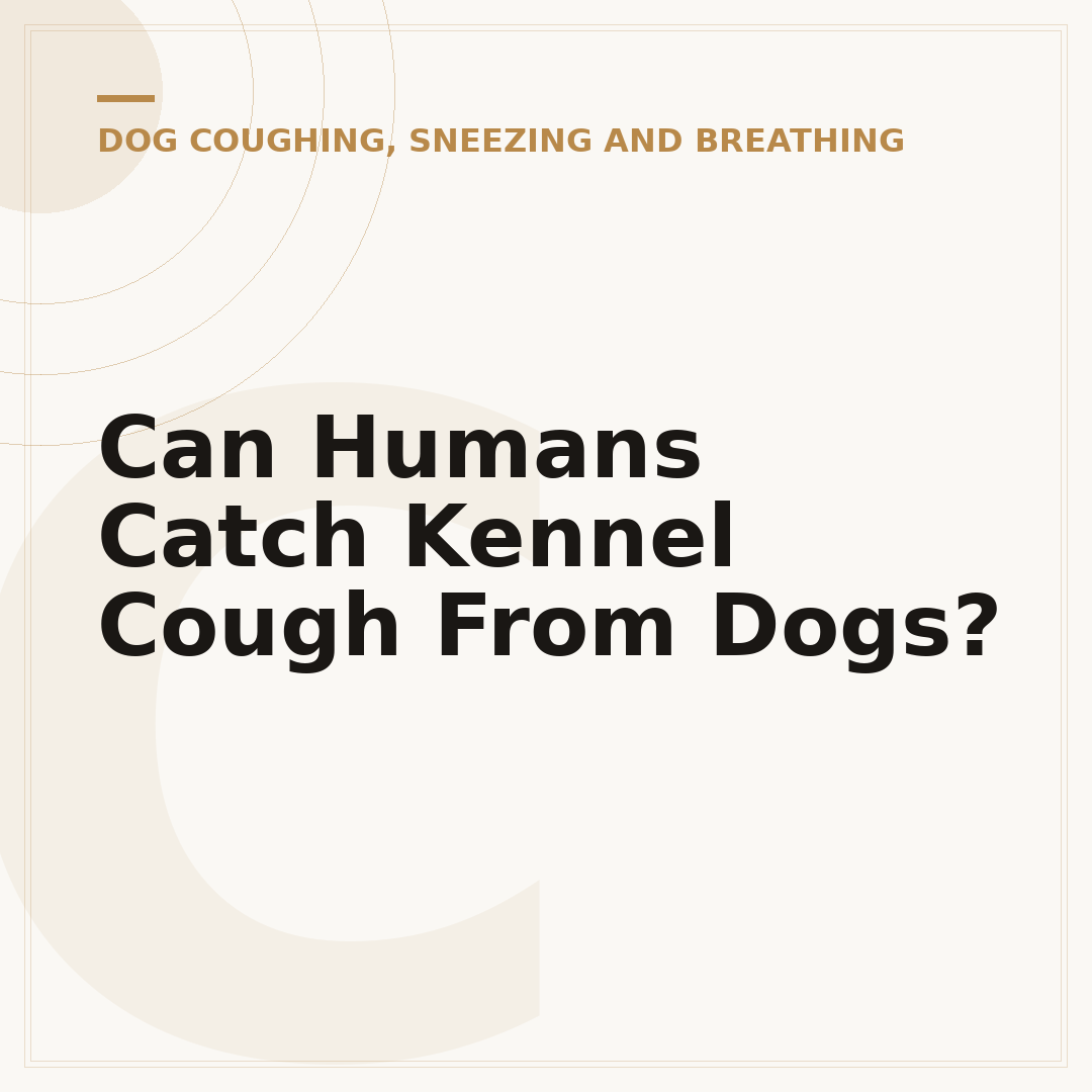 Can Humans Catch Kennel Cough From Dogs?