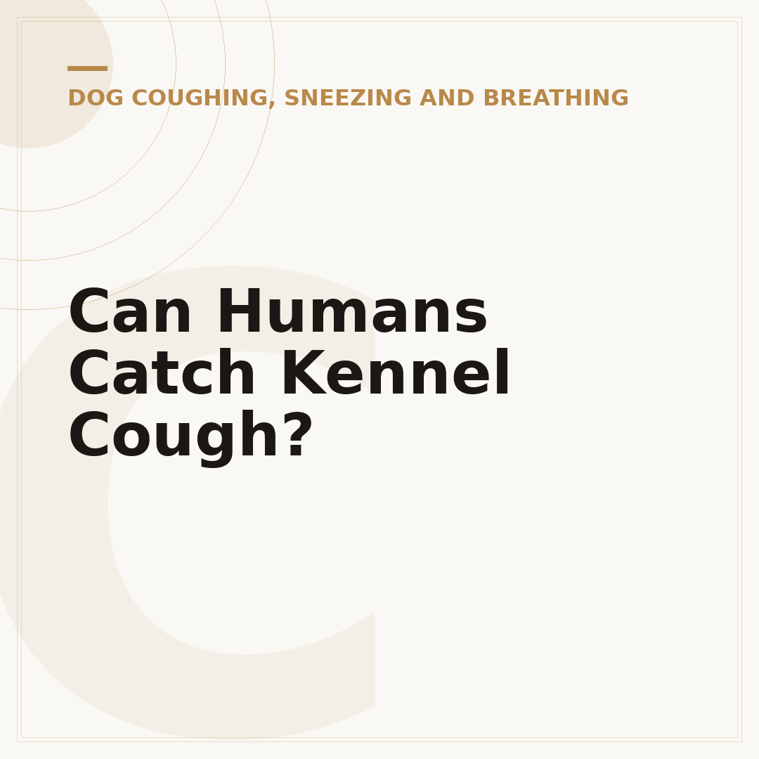 Can Humans Catch Kennel Cough?
