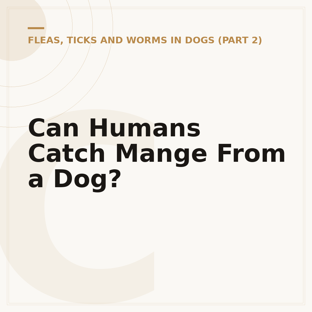 Can Humans Catch Mange From a Dog?
