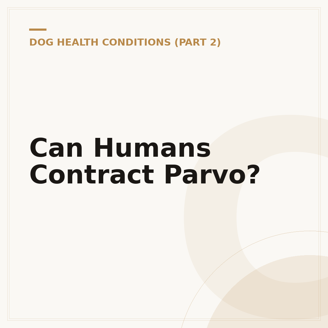Can Humans Contract Parvo?