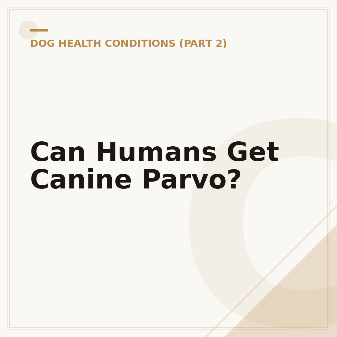 Can Humans Get Canine Parvo?