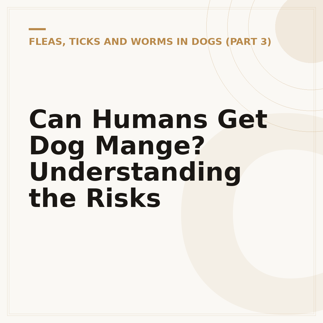 Can Humans Get Dog Mange? Understanding the Risks