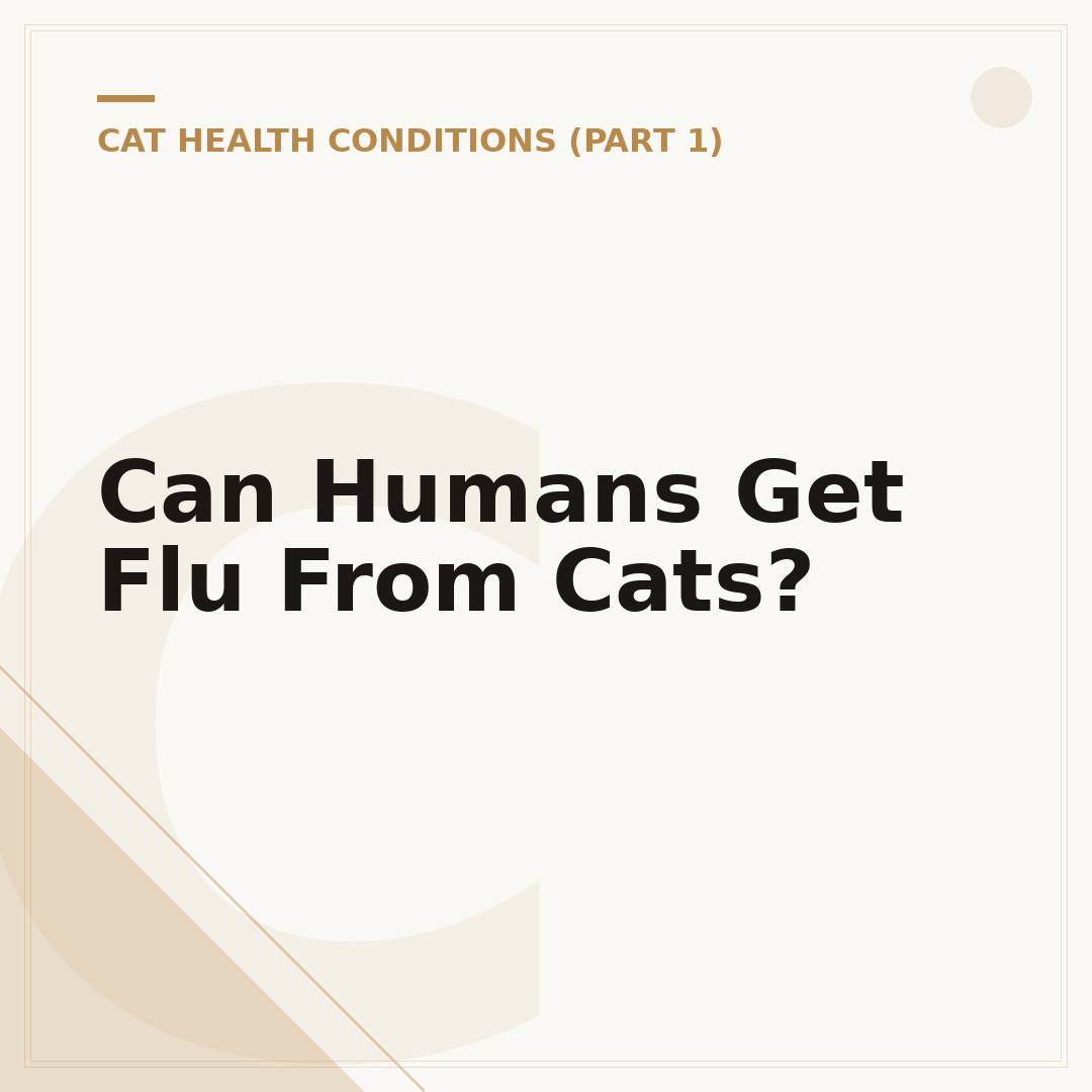 Can Humans Get Flu From Cats?