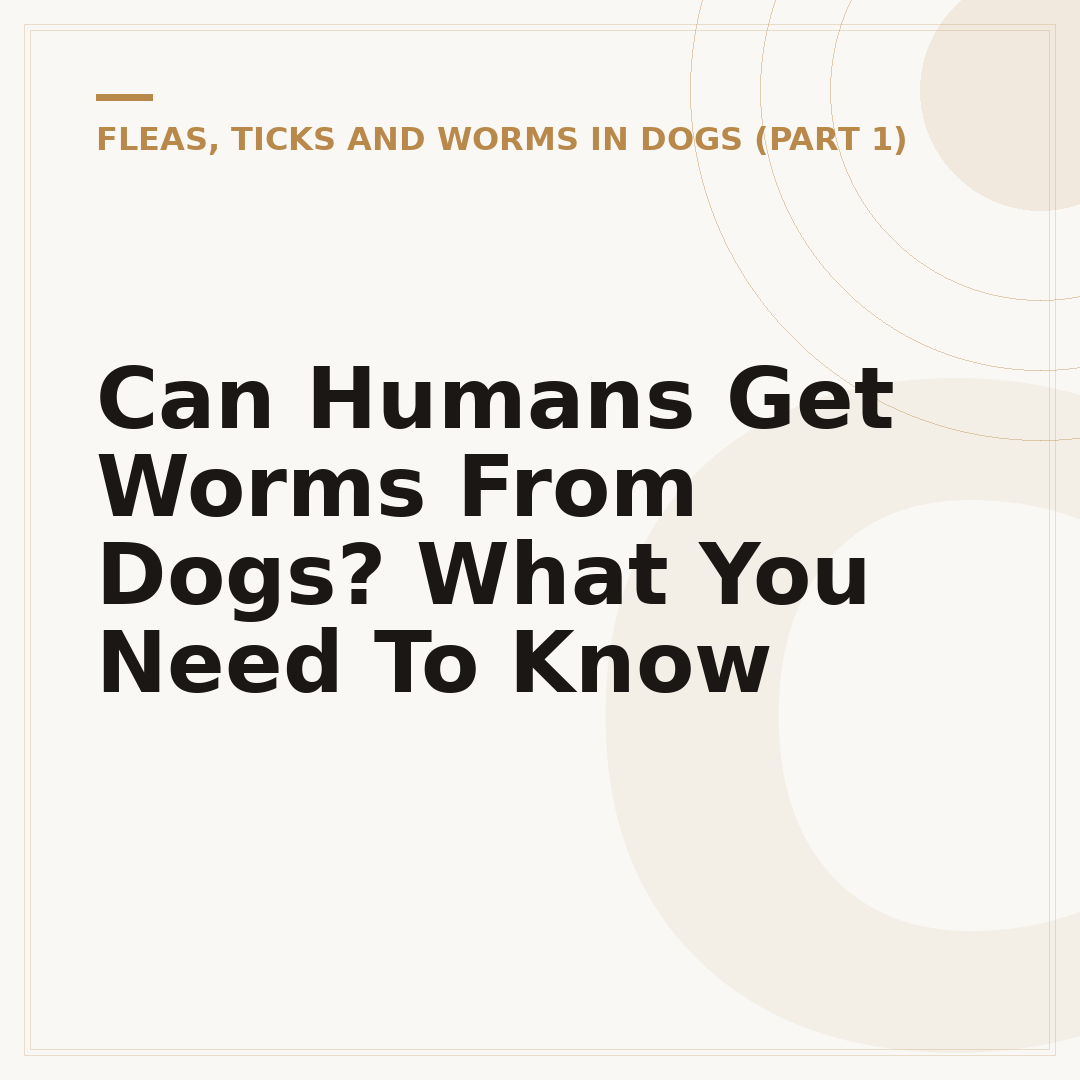 Can Humans Get Worms From Dogs? What You Need To Know