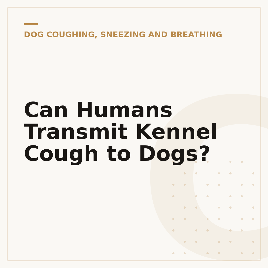 Can Humans Transmit Kennel Cough to Dogs?