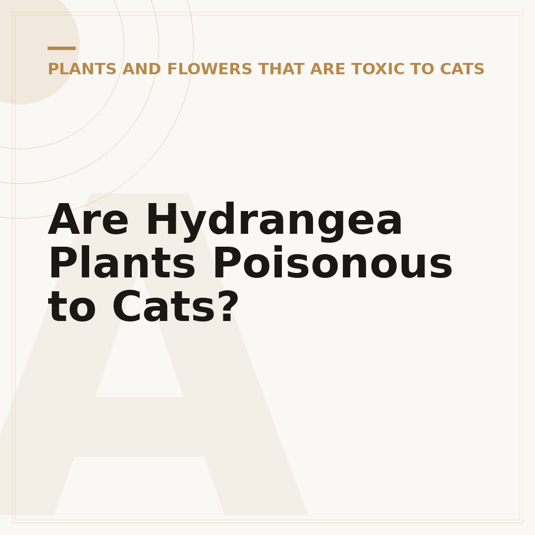 Are Hydrangea Plants Poisonous to Cats?