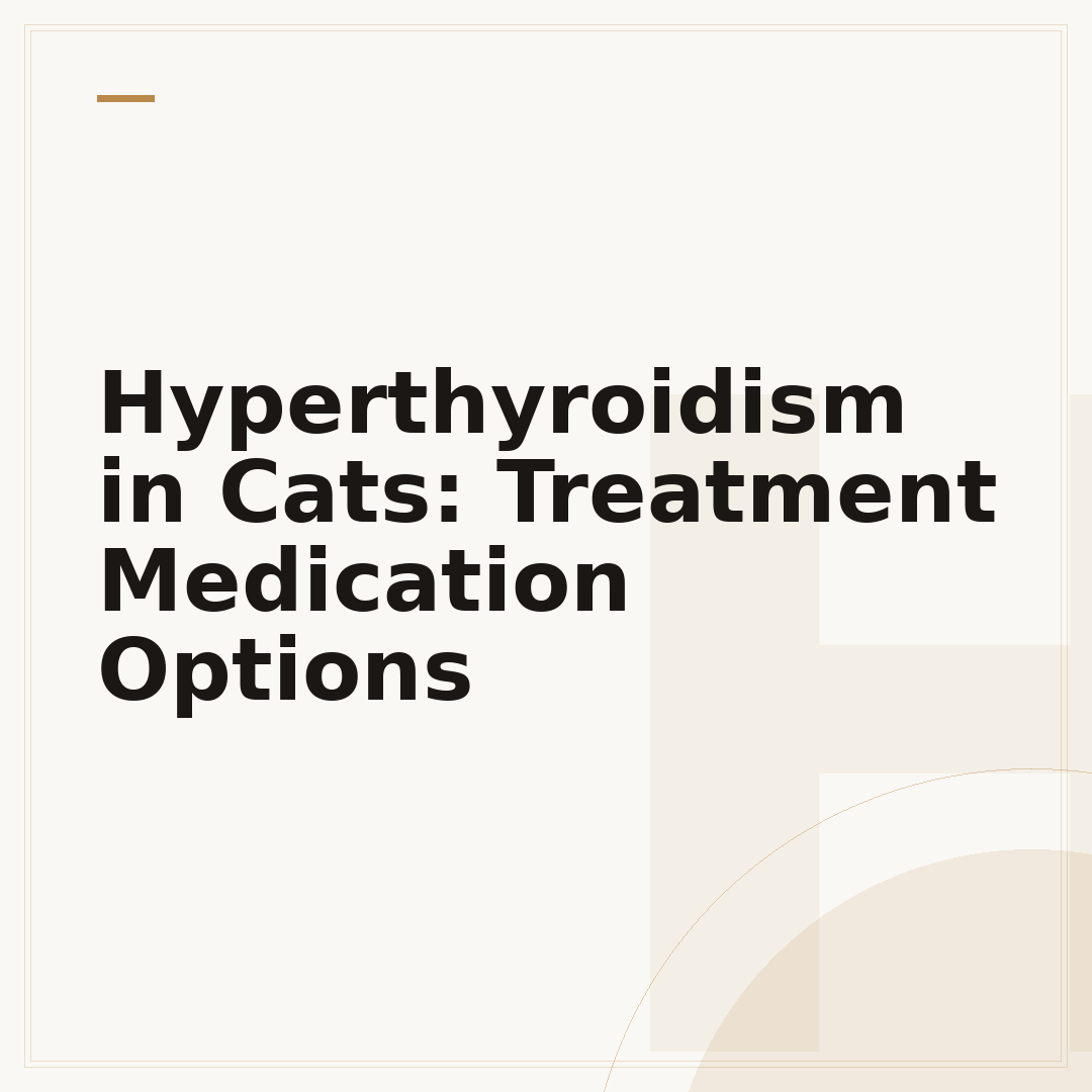 Hyperthyroidism in Cats: Treatment Medication Options