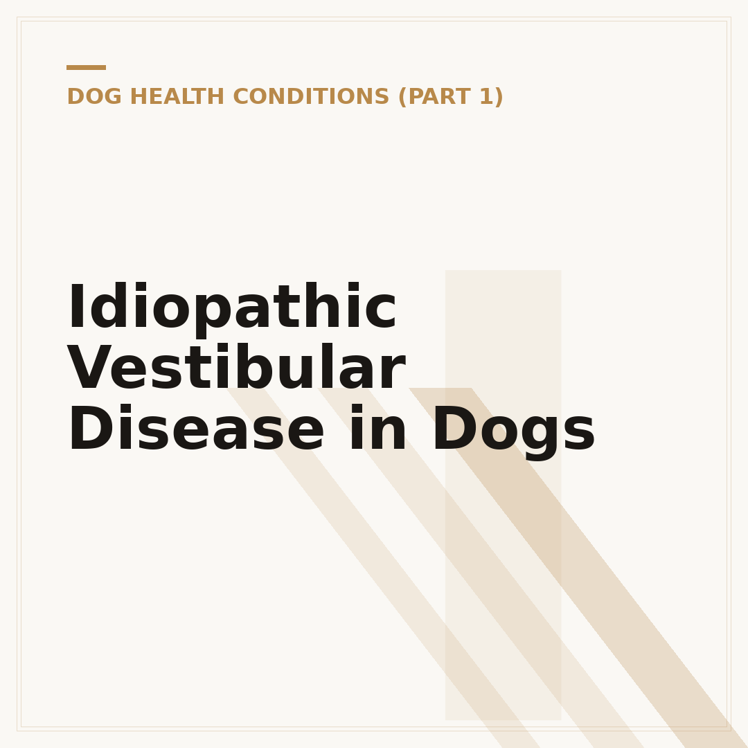 Idiopathic Vestibular Disease in Dogs