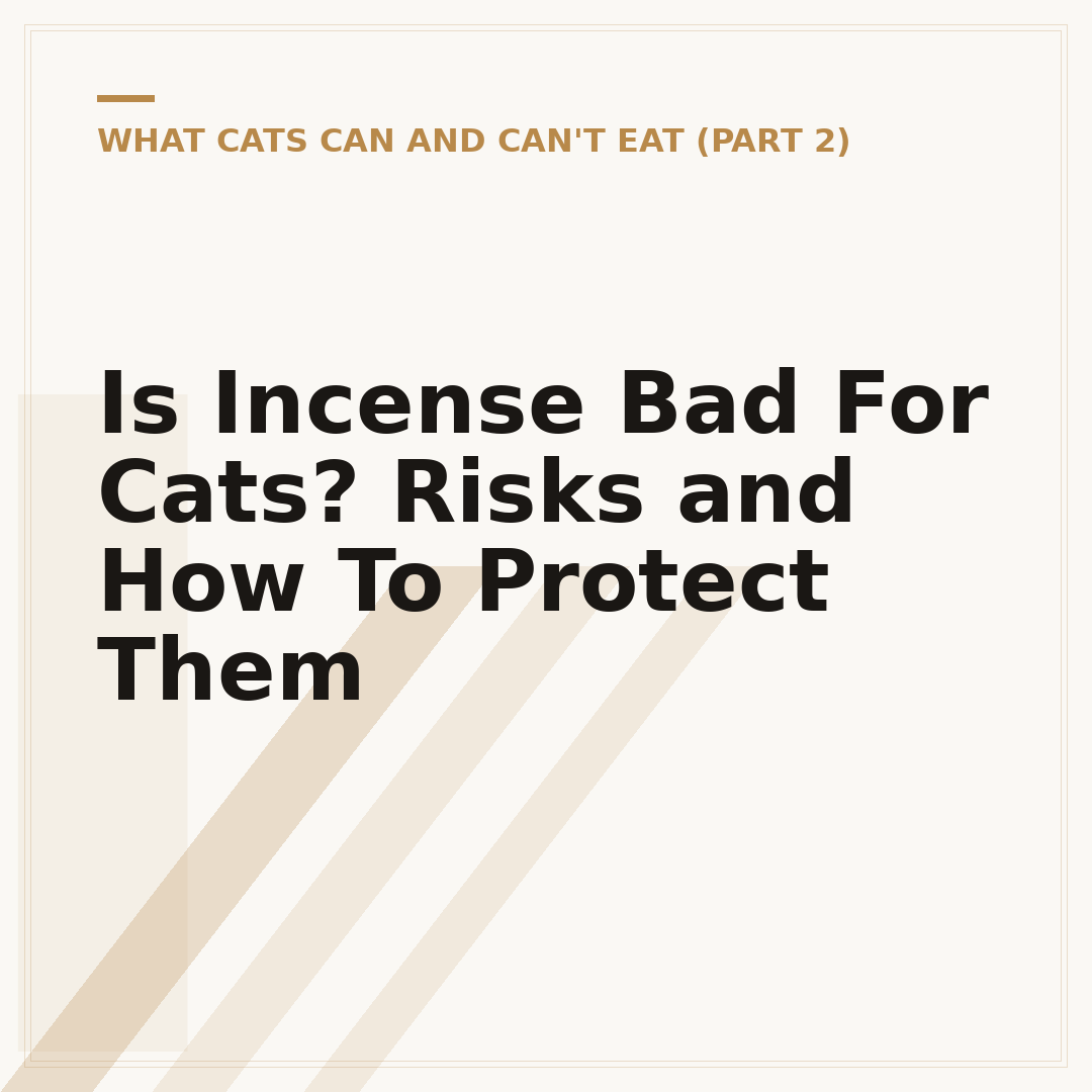 Is Incense Bad For Cats? Risks and How To Protect Them