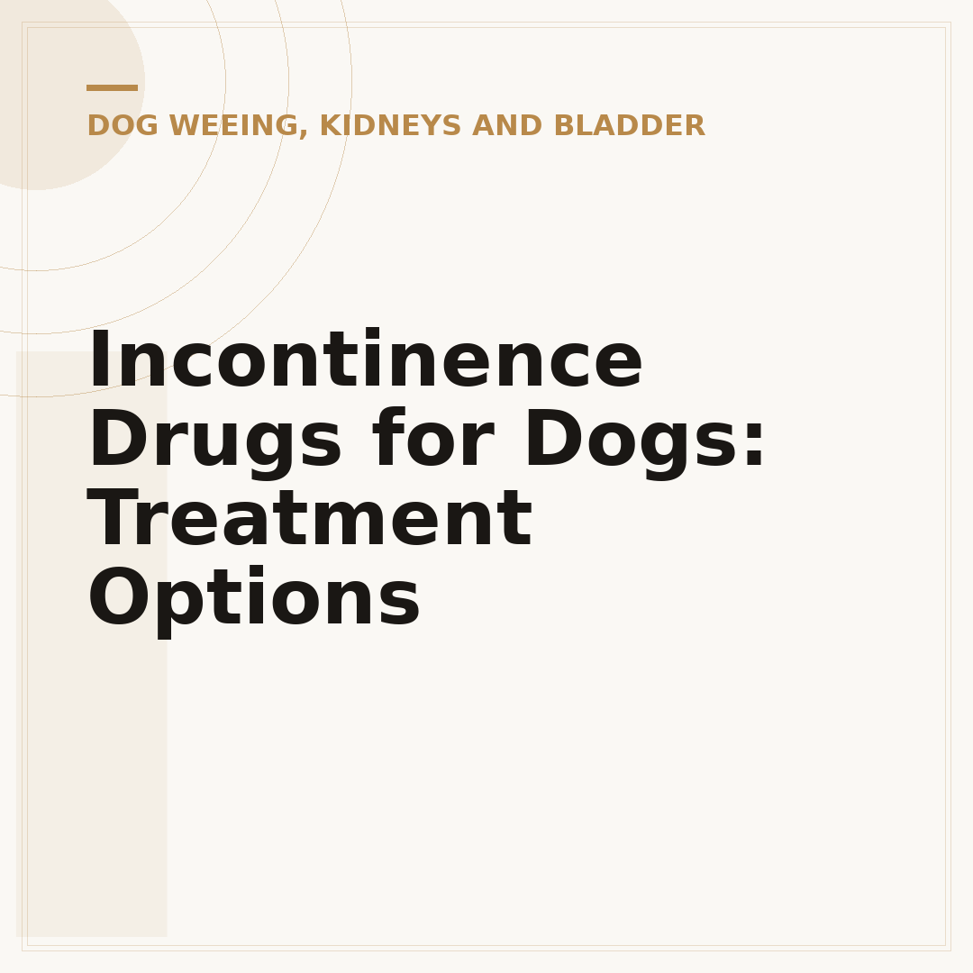 Incontinence Drugs for Dogs: Treatment Options
