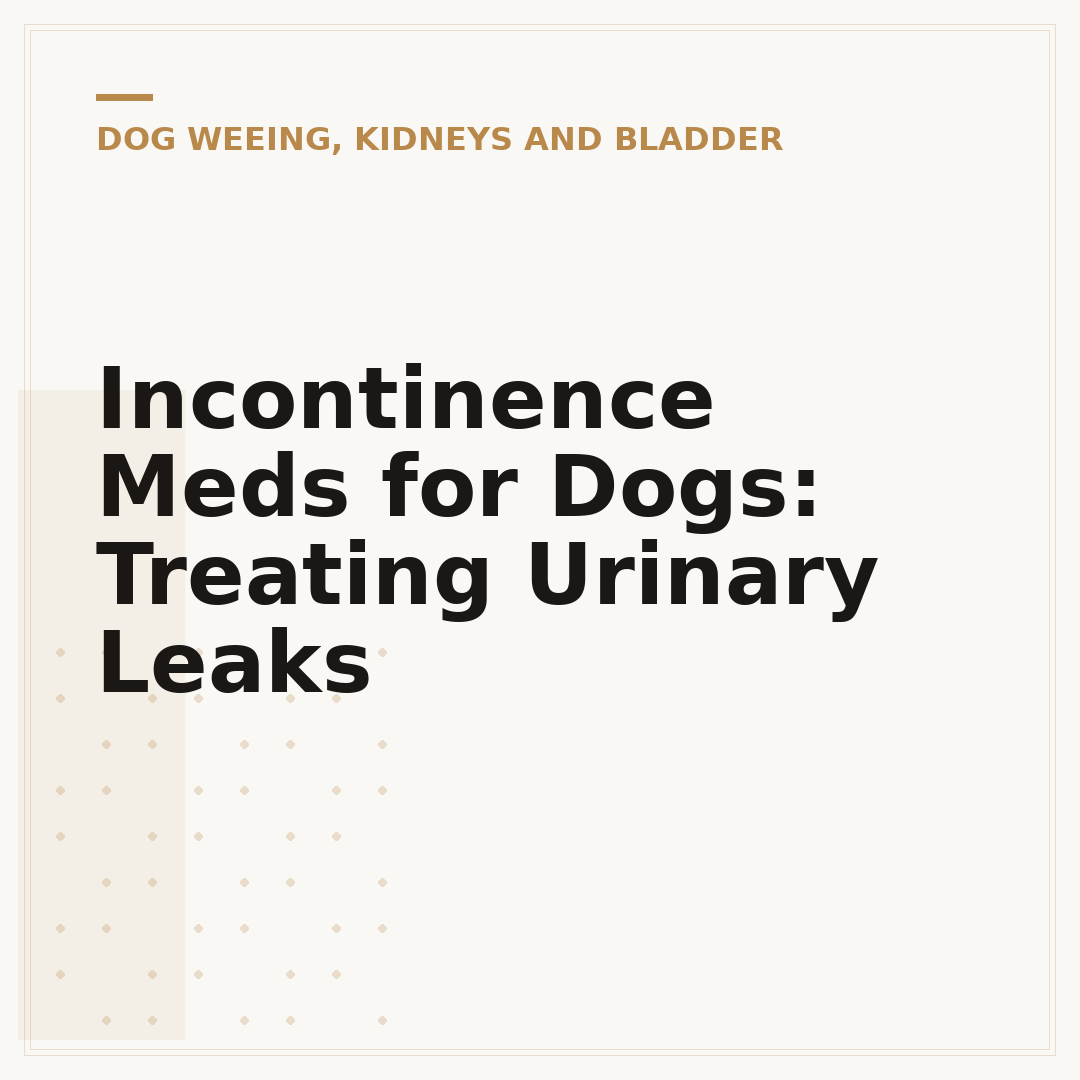 Incontinence Meds for Dogs: Treating Urinary Leaks