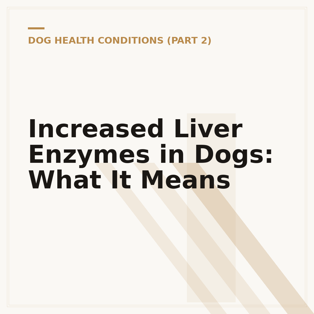 Increased Liver Enzymes in Dogs: What It Means