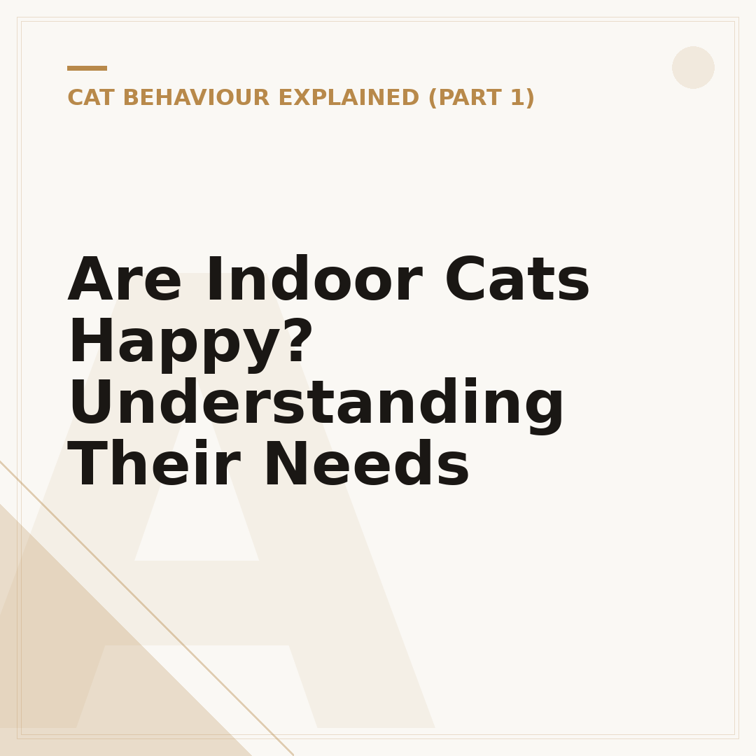 Are Indoor Cats Happy? Understanding Their Needs