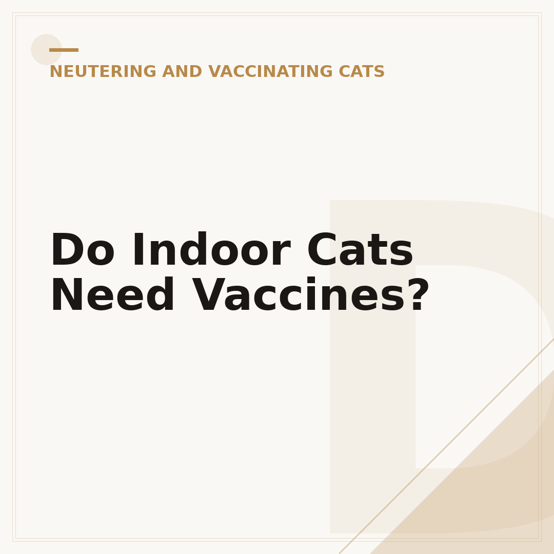 Do Indoor Cats Need Vaccines?