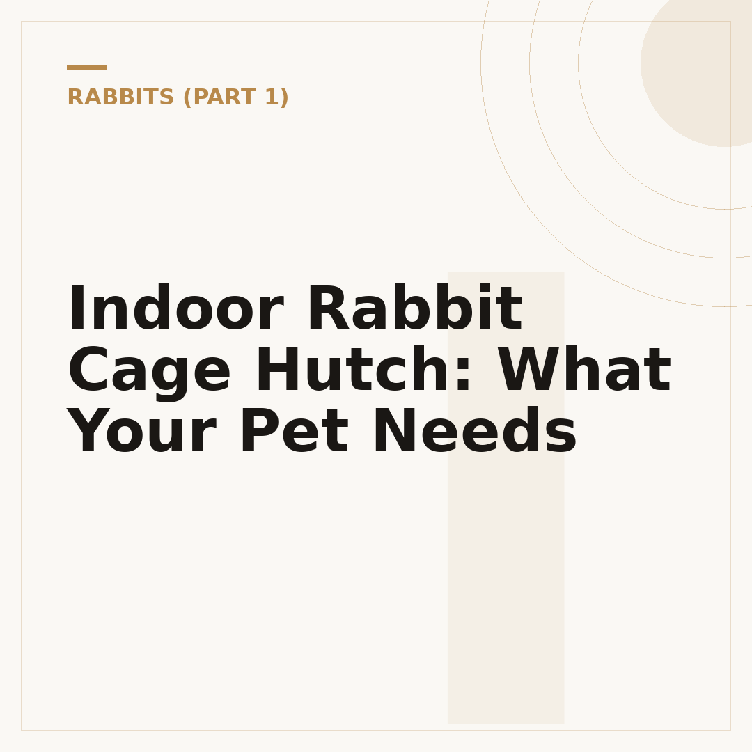 Indoor Rabbit Cage Hutch: What Your Pet Needs