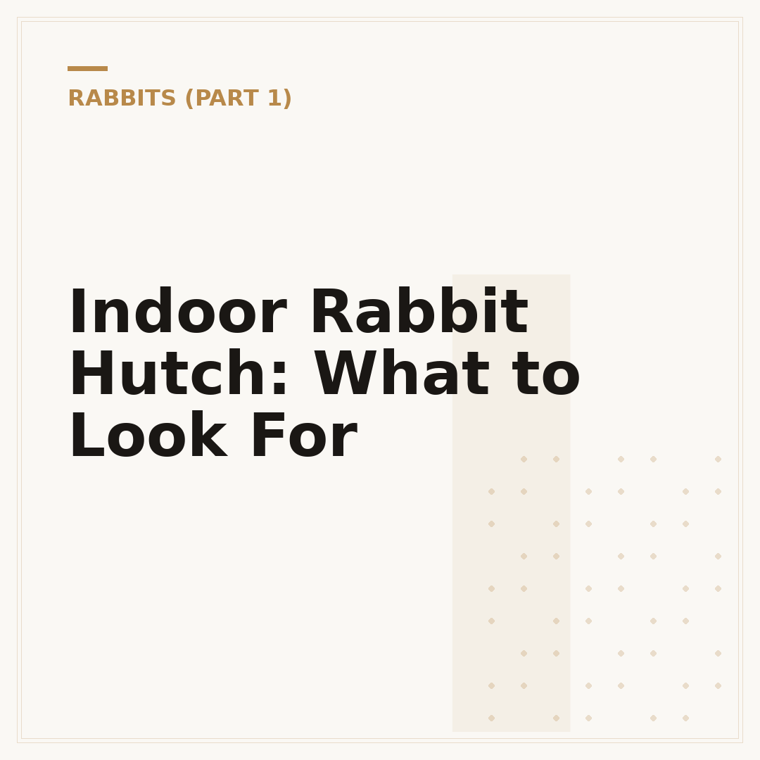Indoor Rabbit Hutch: What to Look For