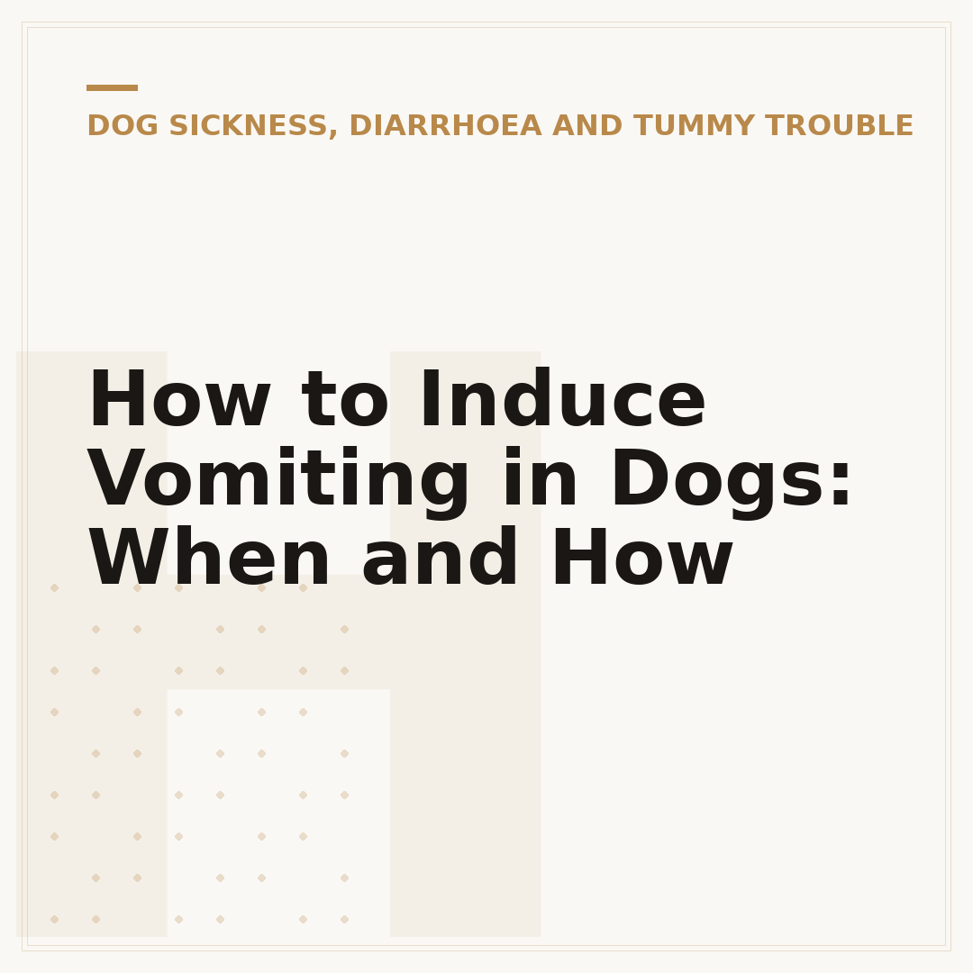 How to Induce Vomiting in Dogs: When and How