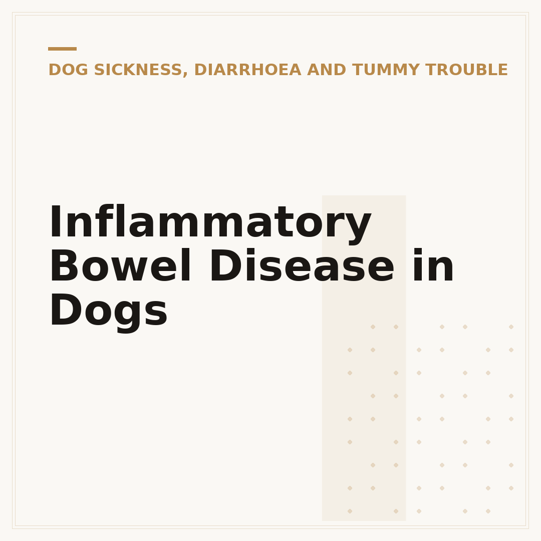 Inflammatory Bowel Disease in Dogs