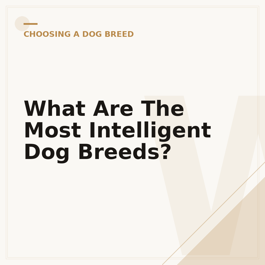 What Are The Most Intelligent Dog Breeds?