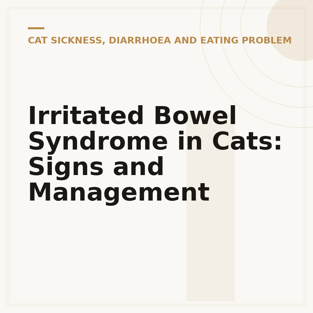 Irritated Bowel Syndrome in Cats: Signs and Management