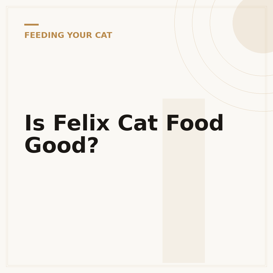 Is Felix Cat Food Good?
