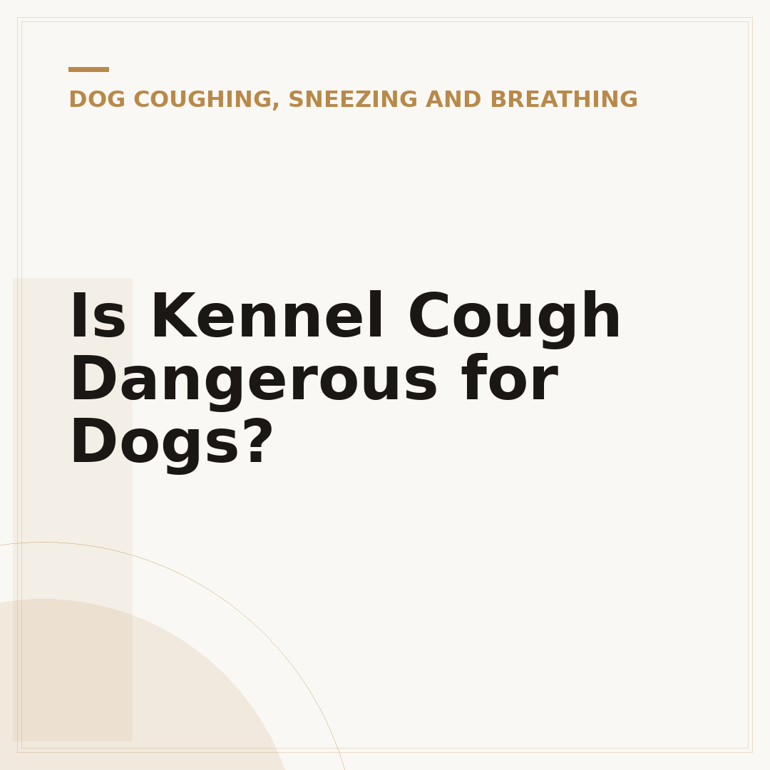 Is Kennel Cough Dangerous for Dogs?