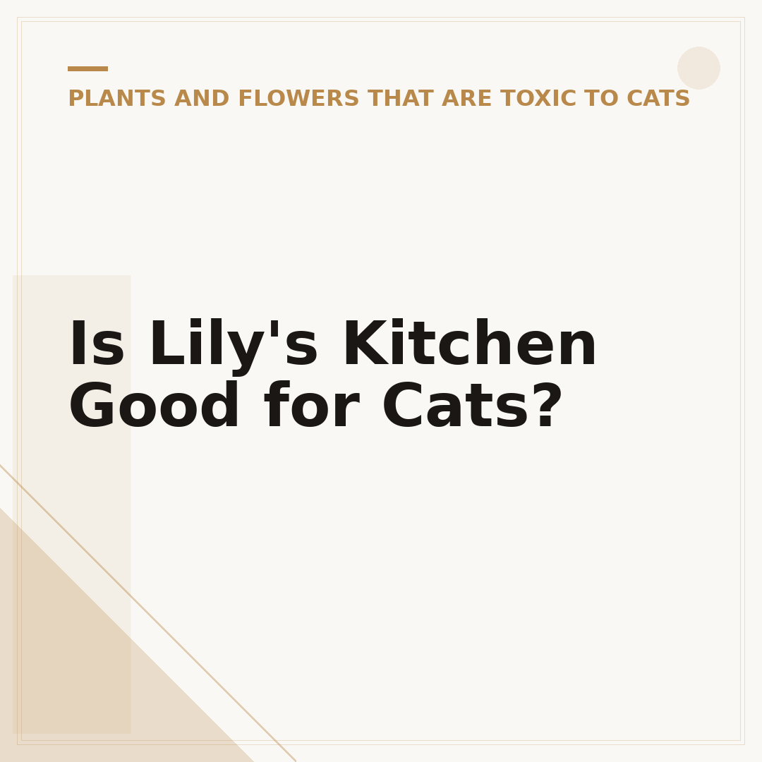 Is Lily's Kitchen Good for Cats?